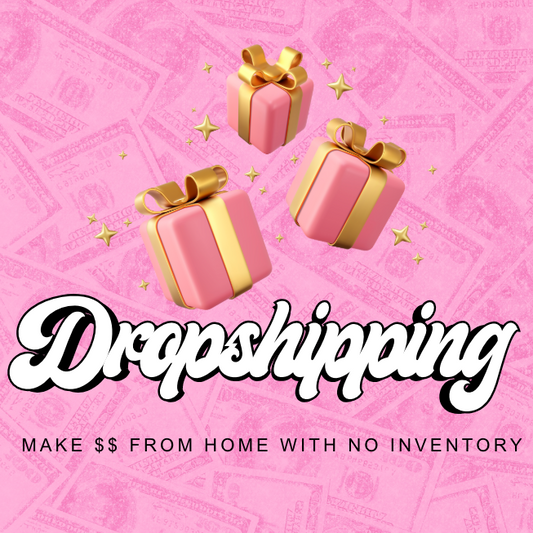 Dropshipping Guide